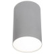 Lampa sufitowa/spot POINT PLEXI SILVER L śr.13cm 6531