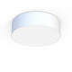 Biały plafon CAMERON WHITE 65cm 9606