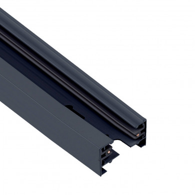 PROFILE TRACK Schiene 2 m