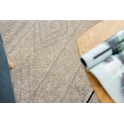 Beiger SOFT 8040 Teppich, ideal für moderne Wohnräume