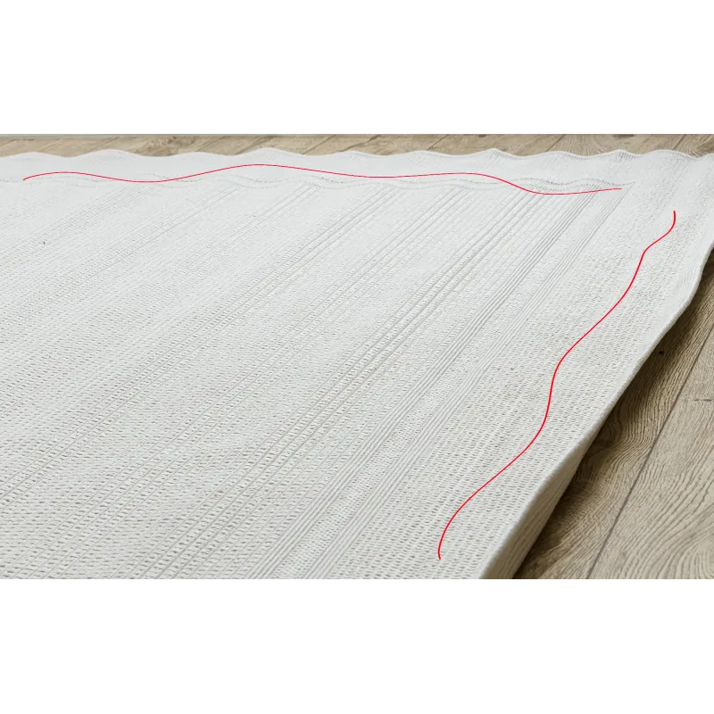 Eleganter sisal Teppich TIMO 5979 in Weiß, ideal für den Garten