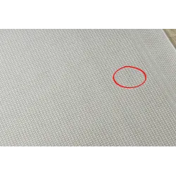 Robuster Sisal Teppich TIMO 5979, wetterfest und langlebig