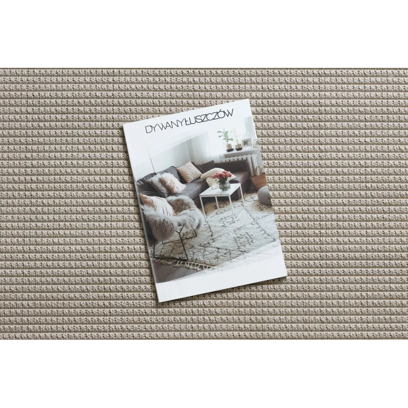 Weißer Sisal Teppich TIMO 5979 für den Außenbereich, stilvoll und robust