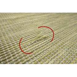 Grüner Sisal Teppich PATIO 2778, ideal für Wohnzimmer oder Schlafzimmer