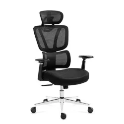 Expert 4.6 Schwarz Ergonomischer Gaming-Stuhl