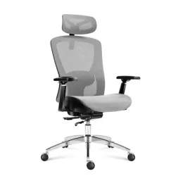 Expert 5.3 Grau Mesh Ergonomischer Gaming-Stuhl