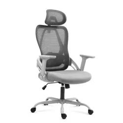 Manager 2.9 Grau Ergonomischer Bürostuhl